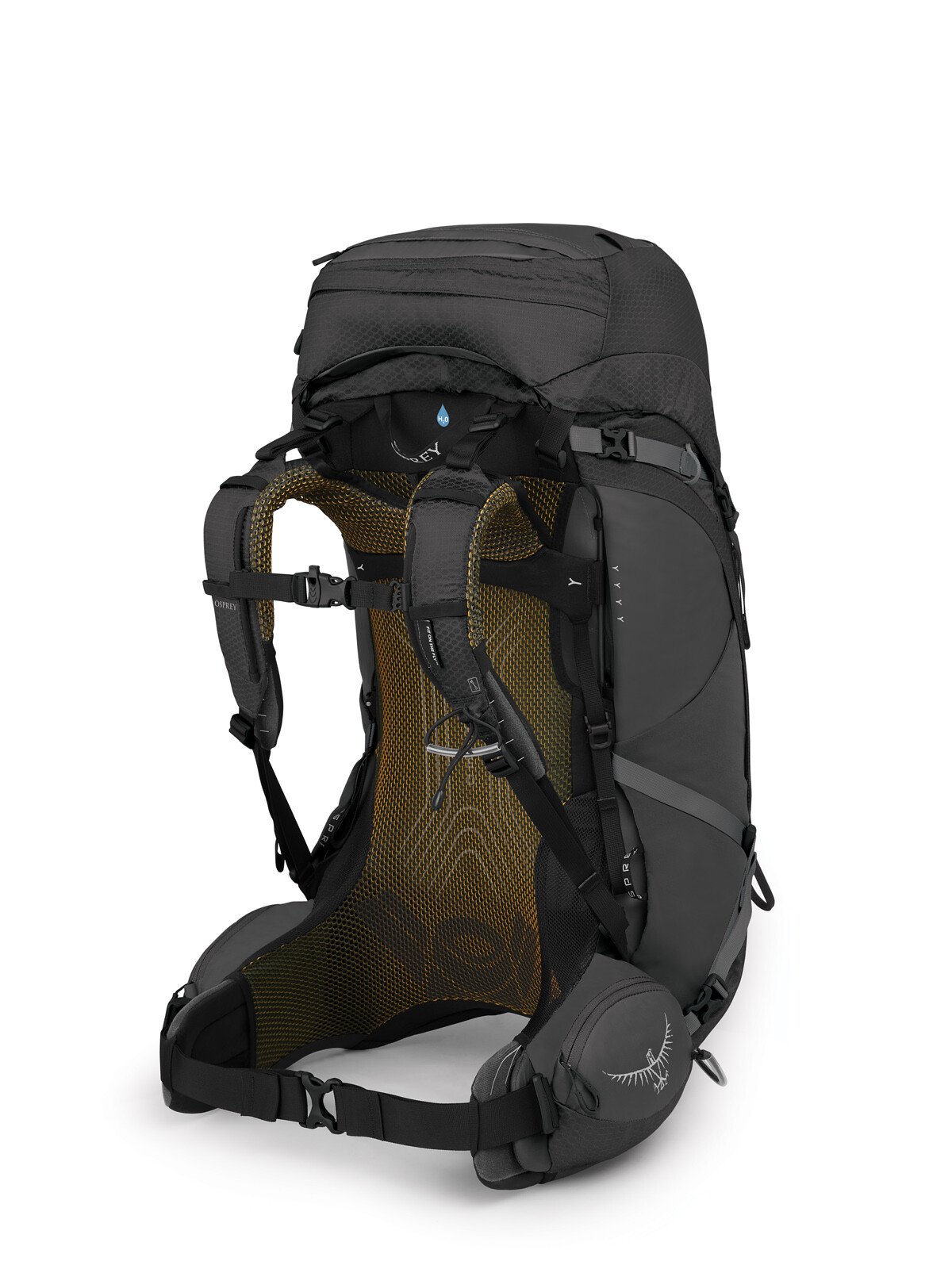 Atmos AG 50 image de l'onglet détails.