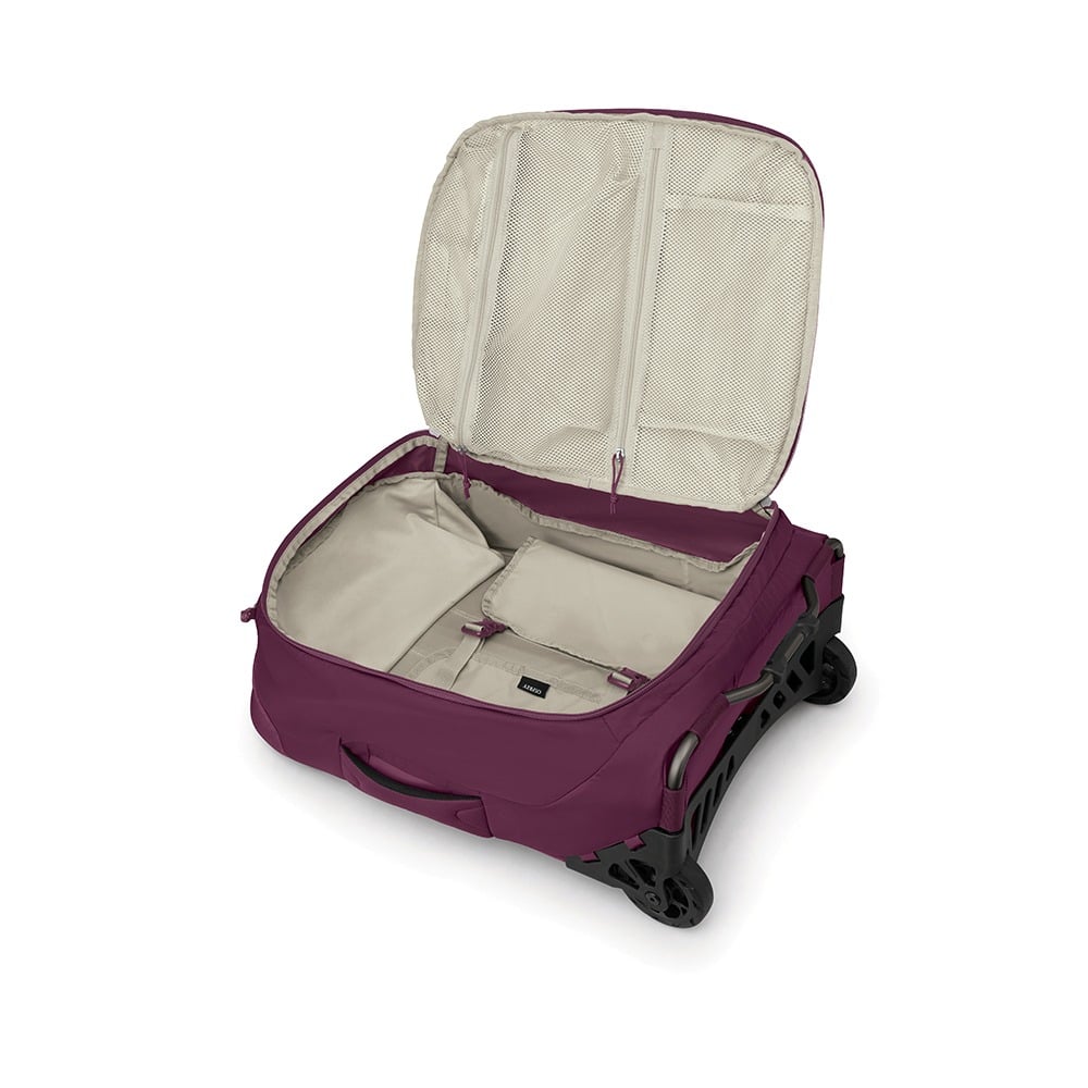 Ozone 2-Wheel Carry On image de l'onglet détails.