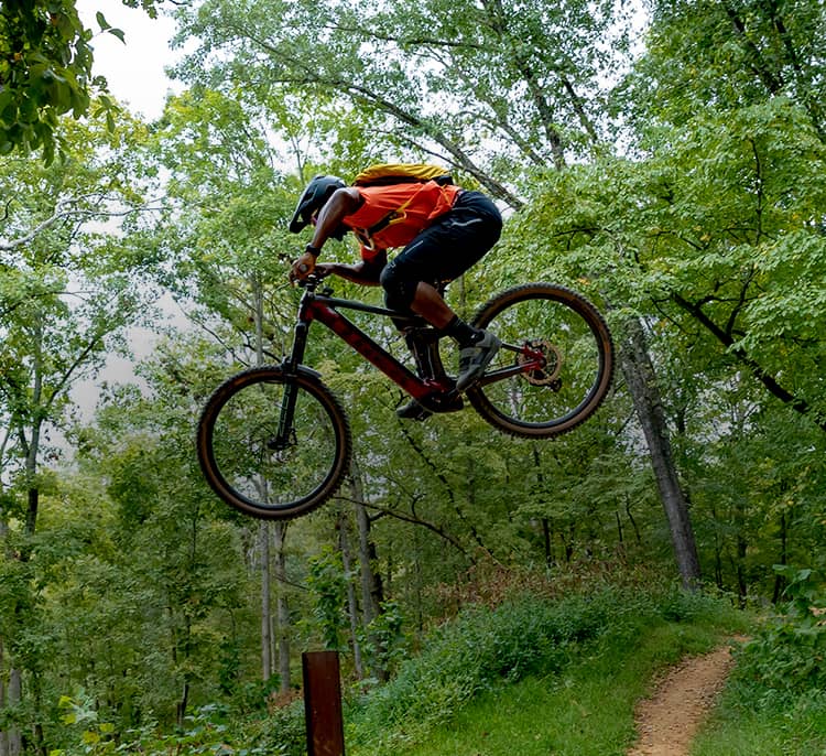 Person on a bike, on a forest trail surrounded by lush green trees, suggesting outdoor biking or trail riding in a natural setting.