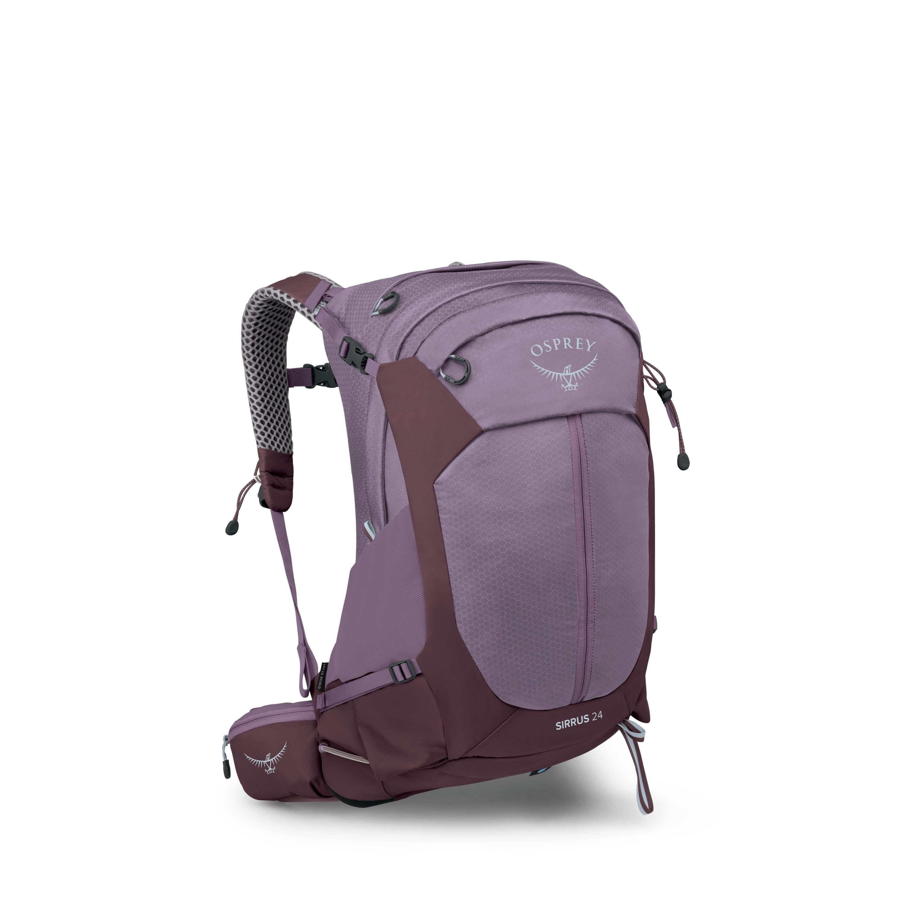 black hole mlc patagonia Black Hole Mini MLC 30L