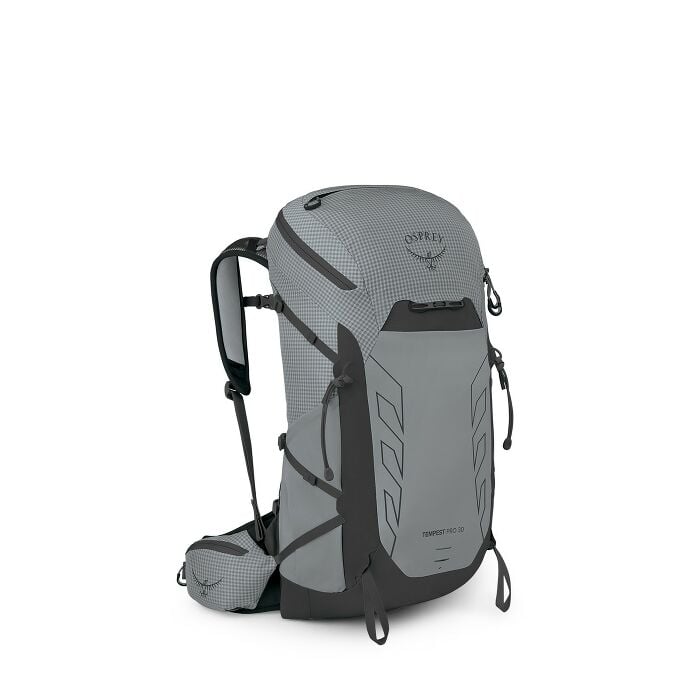 black hole patagonia hand luggage Patagonia Black Hole Wheeled 40L Duffel Noble Grey