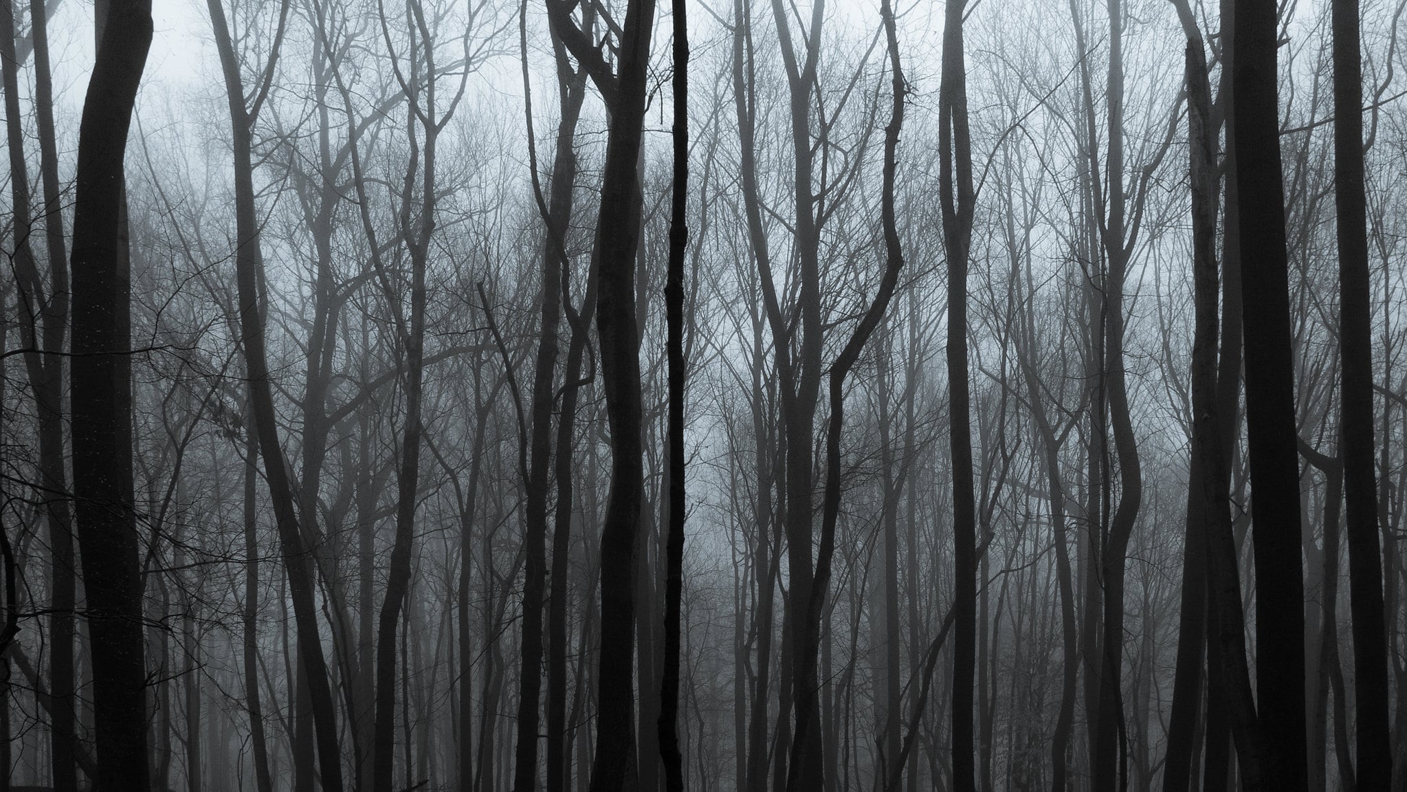 Spooky Stories with Osprey Ambassador Craig Childs