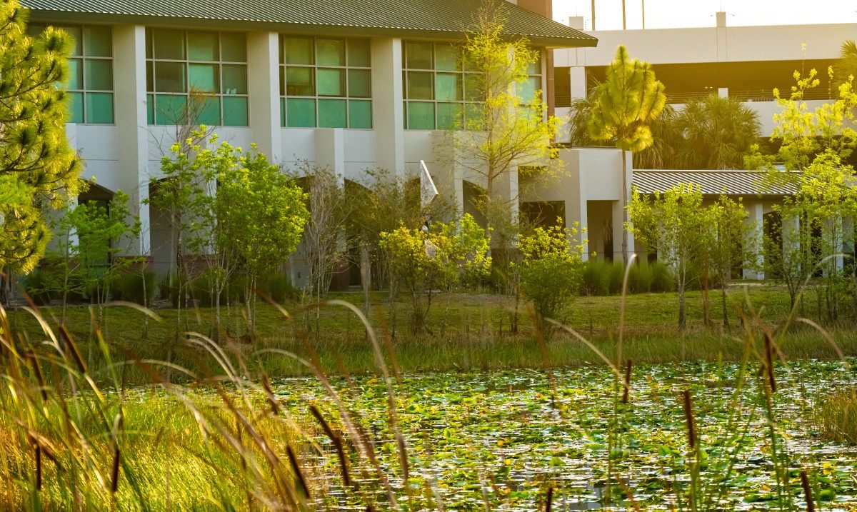 A sunny shot of a campus building in the background, with a pond in the foreground