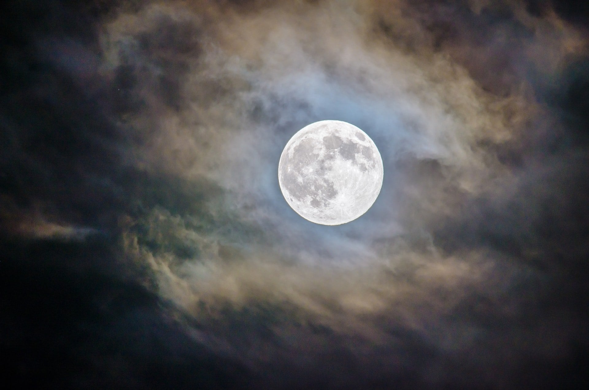 Spooky Stories: An Osprey Halloween