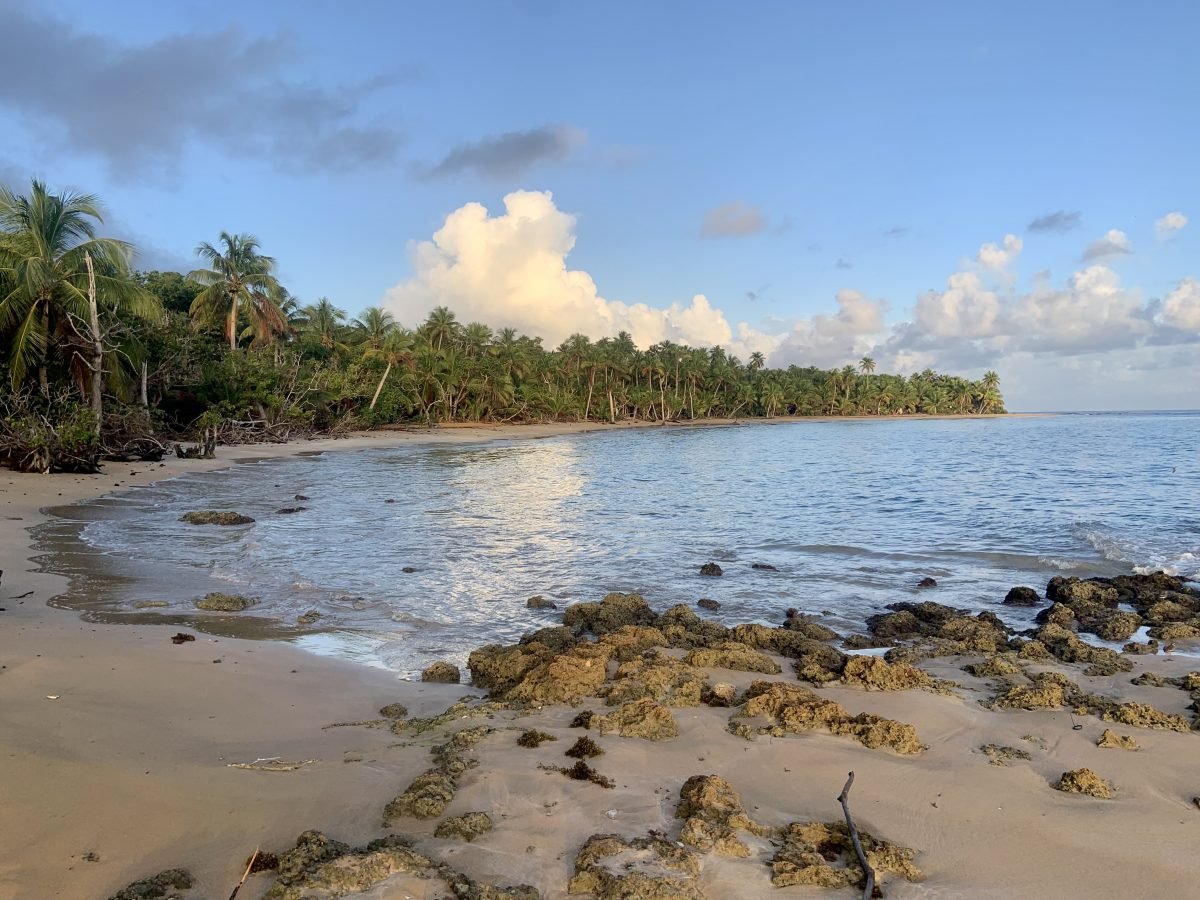 A landscape view of a beach along Puerto Rico's coastline