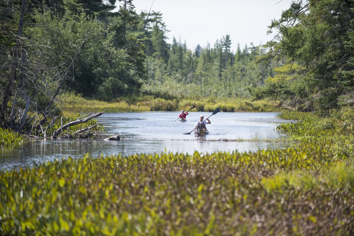 Two kayakers on the river, with grass and trees on either side