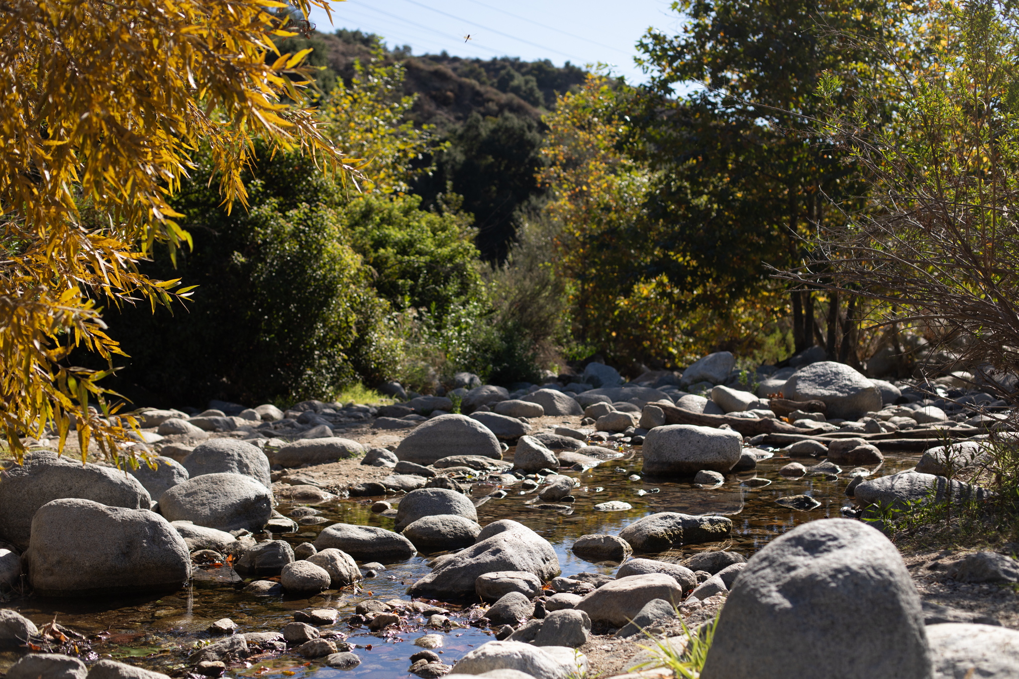 Conservation and Recreation Can and Must Coexist