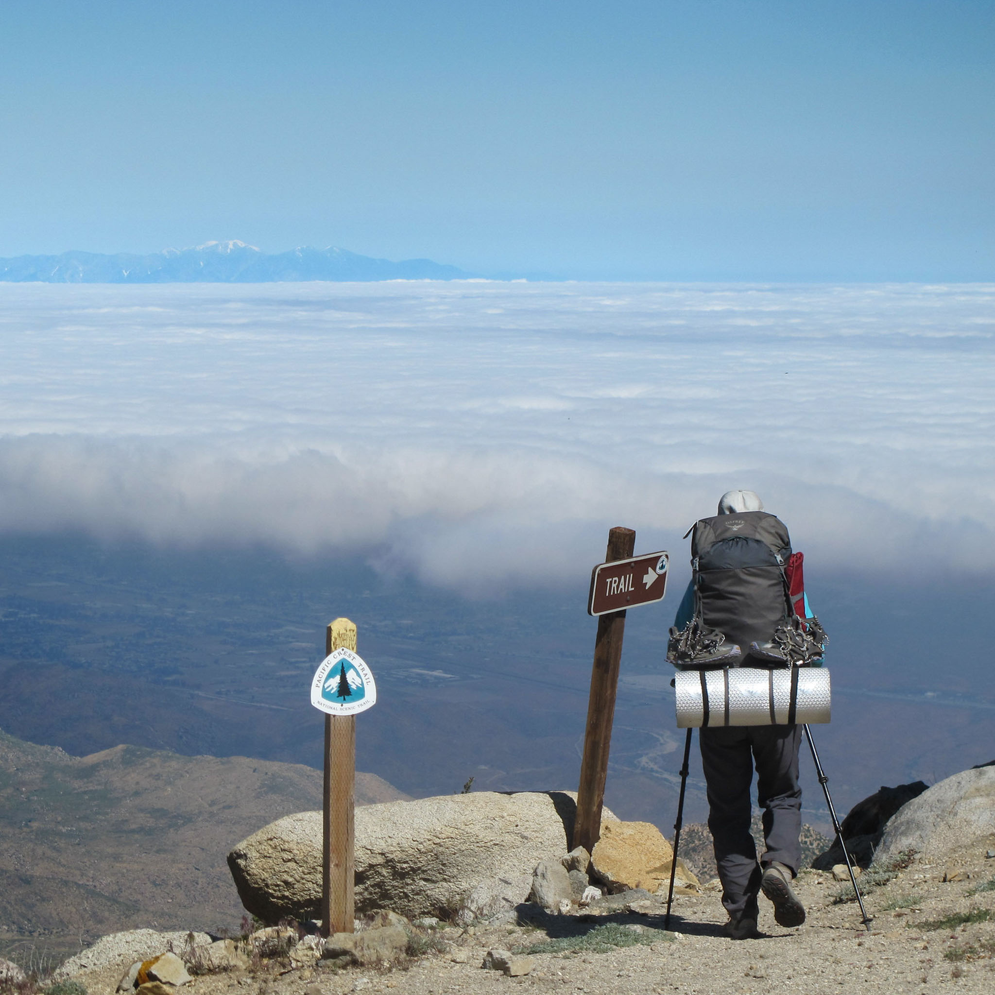 Advocacy, Connection, and Conservation