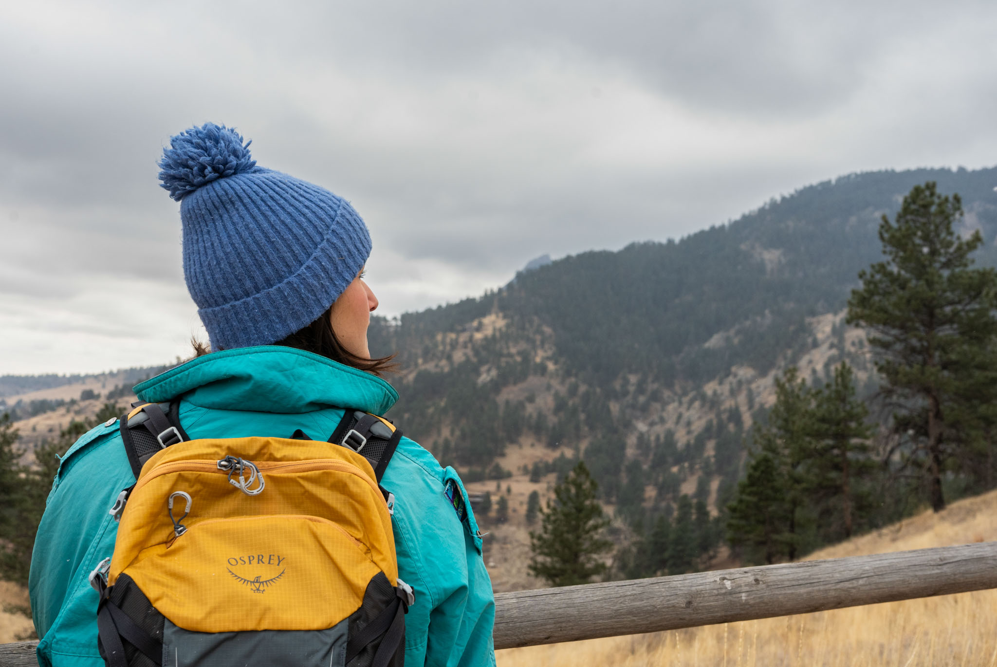 A person stands with their back to the camera and looks off to the right, mountains in the background.